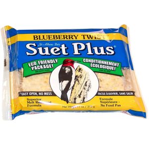 607899208120 WS BLUEBERRY TWIST SUET 11OZ