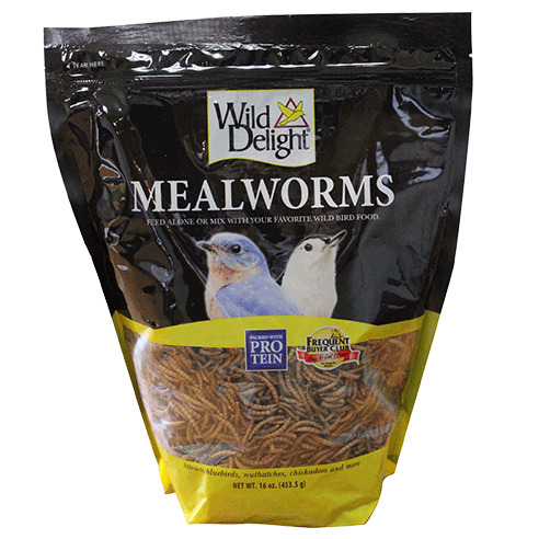 WD MEALWORMS 16OZ