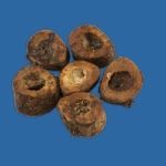 DOGGIE DELIGHT FEMUR SLICE 6CT