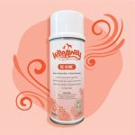 BE GONE STAIN REMOVER 15OZ SPR