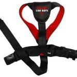 CLIX CARSAFE X SMALL