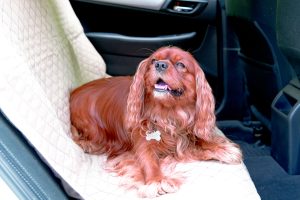 HH REAR CAR SEAT PROTECT TAN