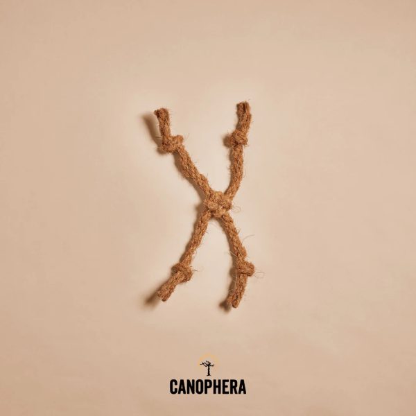 CANOPHERA COCO ROPE SPIDER CAT TOY