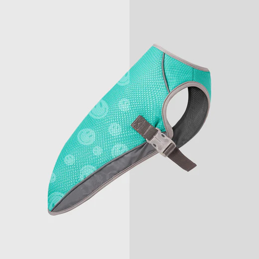 CHILL SEEKER COOLING VEST GREEN SMILEY