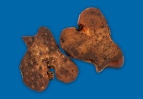 BB BEEF KNUCKLE SLICES