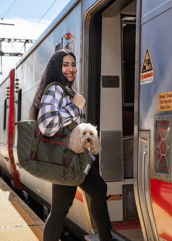 CHILL KUZZI FIR OILIVE GREEN PET POUCH WITH LEATHER TRIM