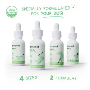 PP SAFLOWER MOBILITY SM 150MG