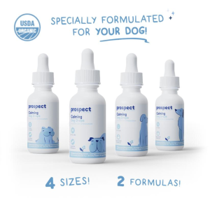 PP SALMON CALM XL 600MG