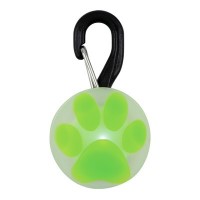 094664022317 PETLIT LIME PAW