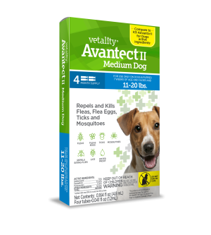 190623250019 VETALITY AVANTECT II MED DOG