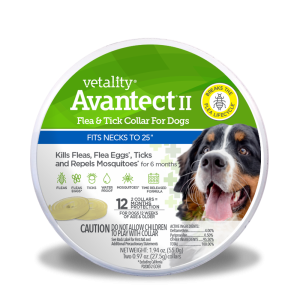 190623250484 VETAL AVANTECT DOG LG COLLAR