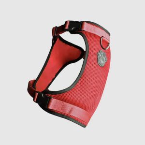 628284012634 EVERYTHING HARNESS RED
