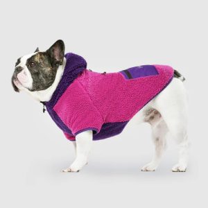 628284103233 COOL FACTOR HOODIE PINK/PURPLE