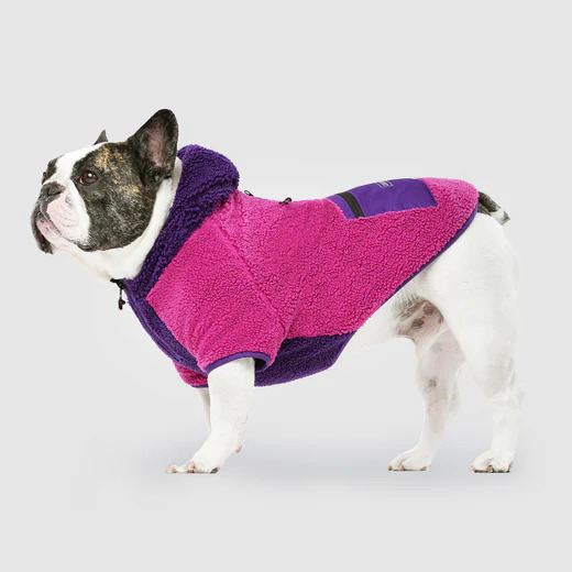COOL FACTOR HOODIE PINK/PURPLE
