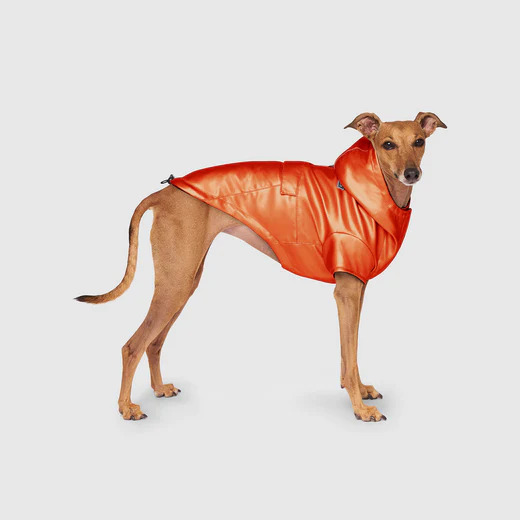 COLD FRONT RAINCOAT ORANGE
