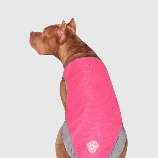 CHILL SEEKER COOLING HARNESS NEON PINK