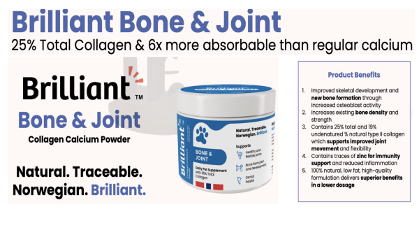 BRILLANT BONE&JOINT 300G
