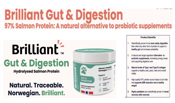 BRILLANT GUT & DIGESTION 200G