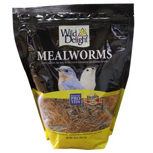 719195367811 WD MEALWORMS 16OZ