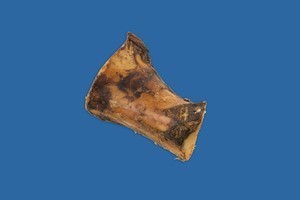 THE DYNAMO 3-4" BONE EACH