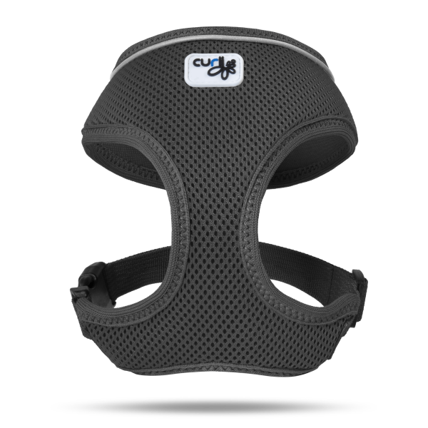 CURLI BASIC HARNESS BLACK