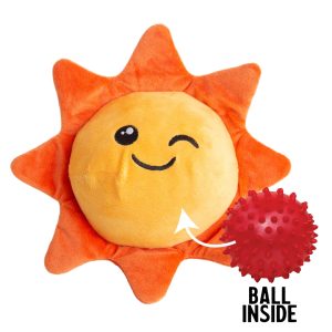 810120995342 SWEET SUNSHINE, 2 IN 1 TOY