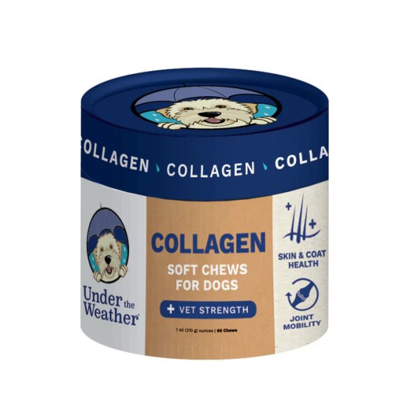 UTW COLLAGEN SFT CHEW DG 60CT