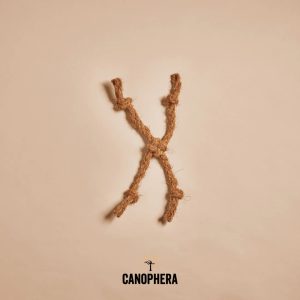 CANOPHERA COCO ROPE SPIDER CAT TOY