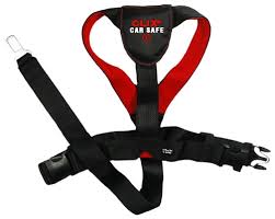 CLIX CARSAFE X SMALL