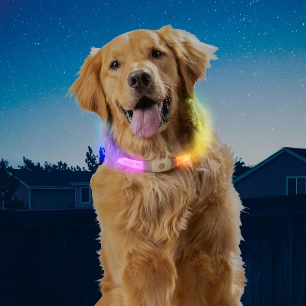NITEHOWL*MAX* DISCO RECHARGEAB