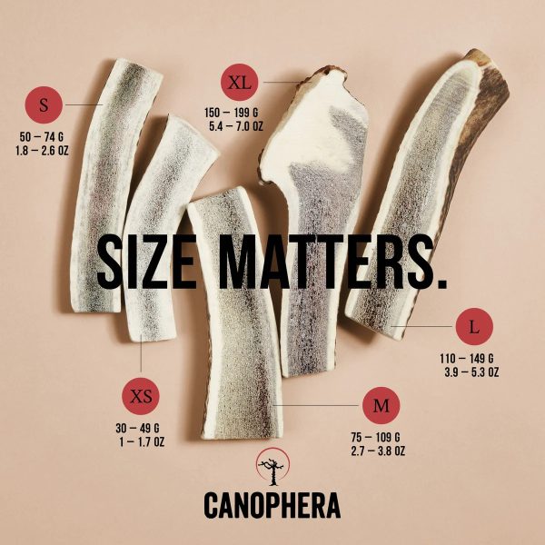 CANOPHERA SPLIT RED DEER ANTLER