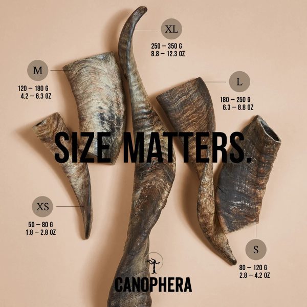 CANOPHERA SHEEP HORN