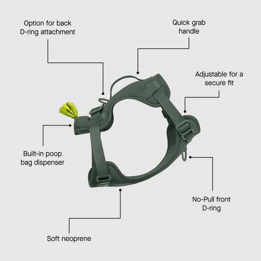 628284128274 EVERYTHING NEOPRENE HARNESS GREEN WITH BAG DISPENSER
