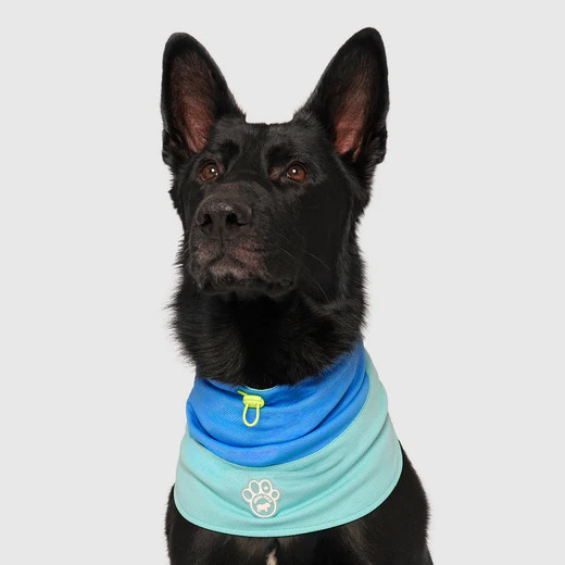 MAX CHILL COOLING SNOOD BLUE
