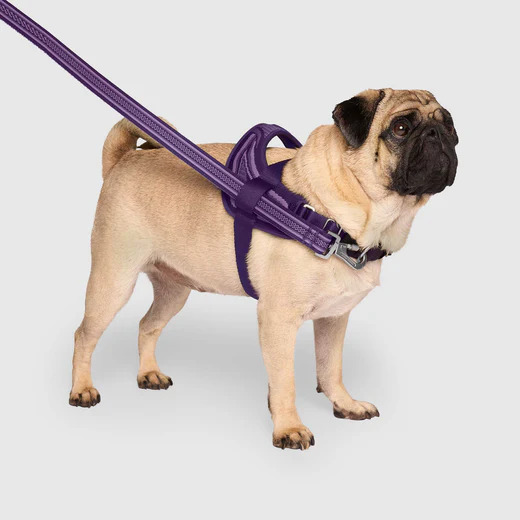 RE-DIRECT HARNESS PURPLE/LAVENDER
