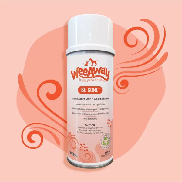 BE GONE STAIN REMOVER 15OZ SPR