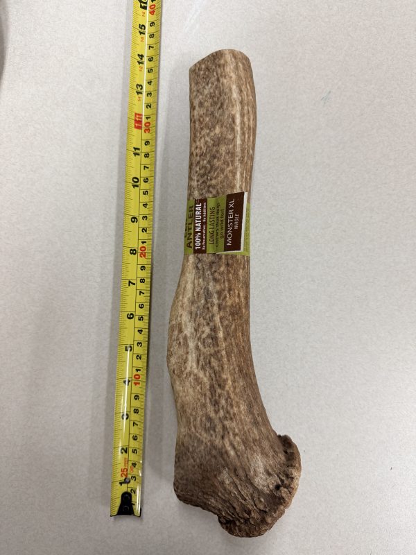 ELK ANTLER MONSTER XL 2LB WHOL