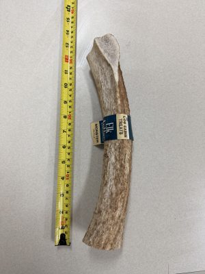 ELK ANTLER MONSTER 1LB WHOLE