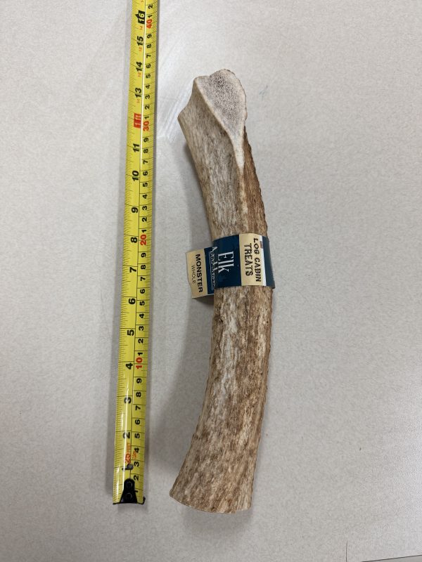 ELK ANTLER MONSTER 1LB WHOLE