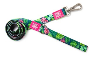 MM LEASH TROPICAL LARGE 1"W X 4'L