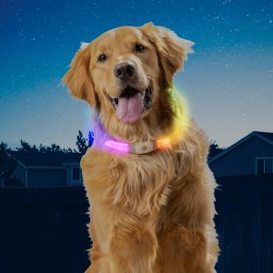 094664054127 NITEHOWL*MAX* DISCO RECHARGEAB