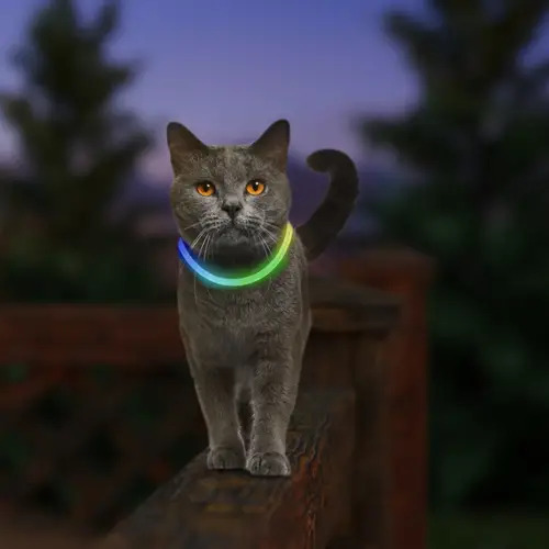 094664054646 NITEMEOW DISCO RECHRGABLE-CAT