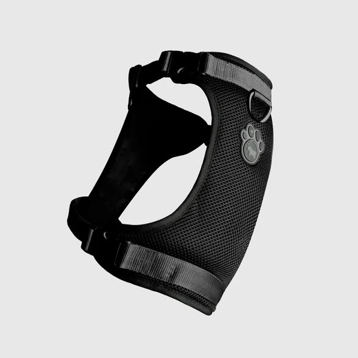 628284012672 EVERYTHING HARNESS BLACK