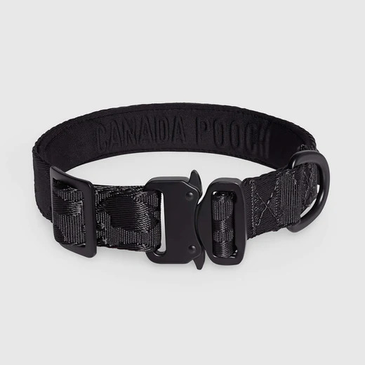 628284110262 UTILITY COLLAR BLACK CAMO S