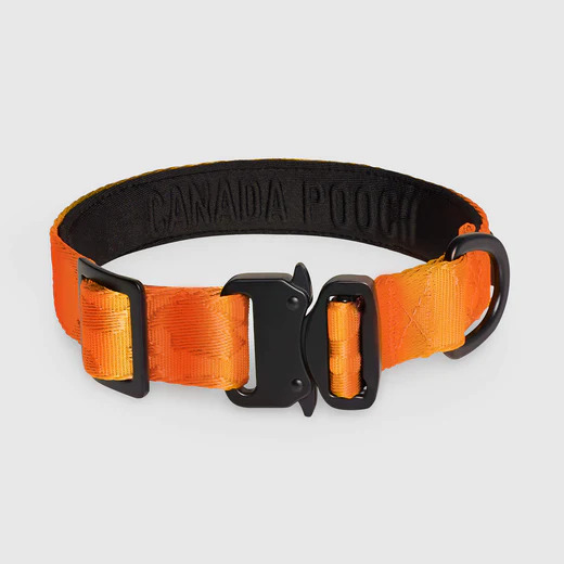 628284110293 UTILITY COLLAR ORANGE CAMO S