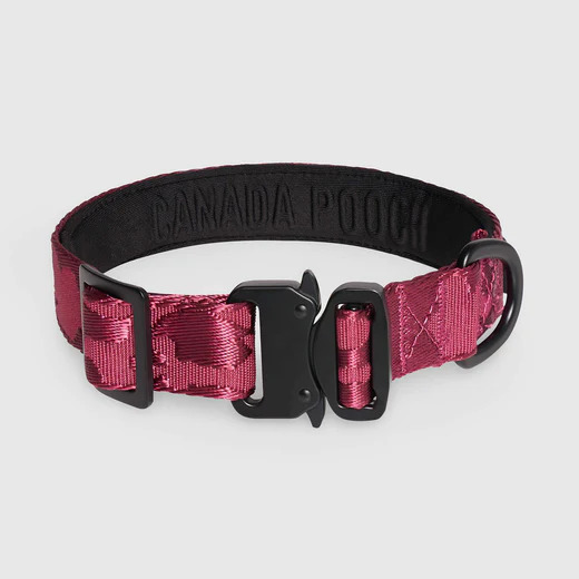 628284110323 UTILITY COLLAR PLUM CAMO S
