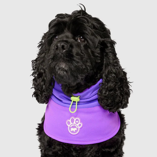 MAX CHILL COOLING SNOOD PURPLE