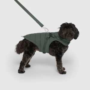 628284132011 HARNESS PUFFER FOREST GREEN