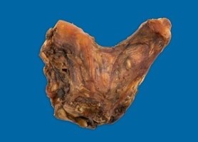 740780991180 BB HIND HOCK BONE EACH