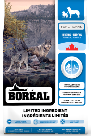 BOREAL DOG LIKD HERRING